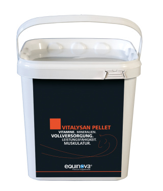 EQUINOVA Vitalysan Pellet 10kg Witaminy i Minerały