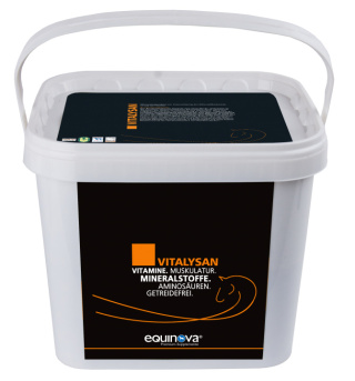 EQUINOVA Vitalysan Powder 10kg Witaminy i Minerały