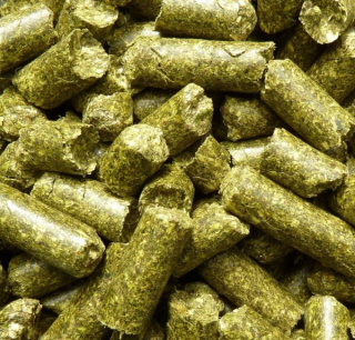 NATURE’S BEST Esparsette Cobs 18 kg – Trawokulki na trawienie, dla koni z wrzodami