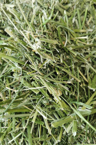 Sieczka olejowana z lucerny NordicGrass 15 kg